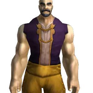 High Councillor's Tunic