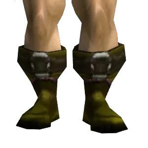 Buckled Boots