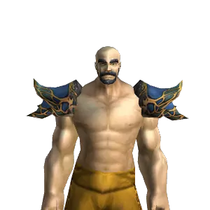 Stormcloth Shoulders