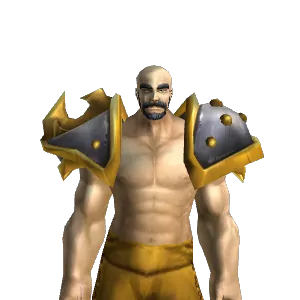 Spaulders of Valor