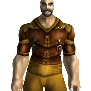 Tough Leather Armor