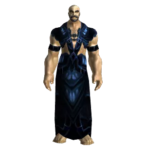 Premier Magus Robes