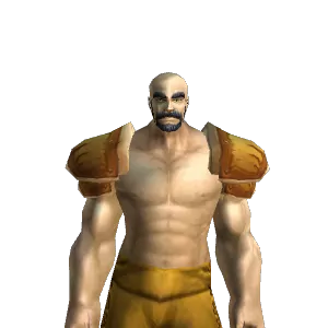 Adventurer's Shoulders