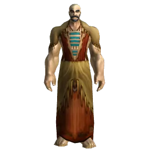 Novice's Robe