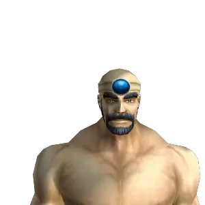High Councillor's Circlet