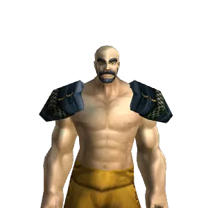 Elite Shoulders