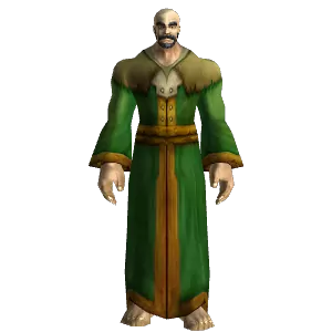 Green Woolen Robe