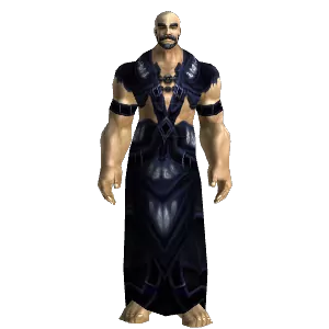 Premier Satin Vestments