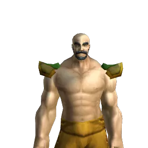Canvas Shoulderpads