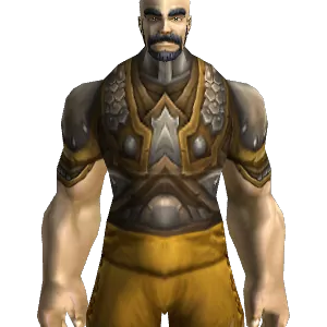 Premier Linked Hauberk