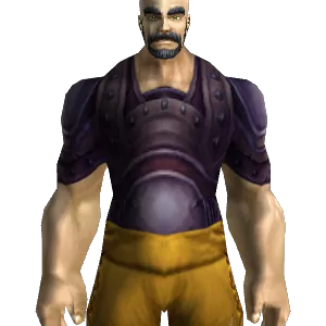 Premier Shadowhide Hauberk