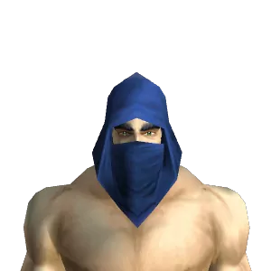 Abjurer's Hood