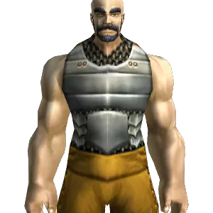 Augmented Chain Vest