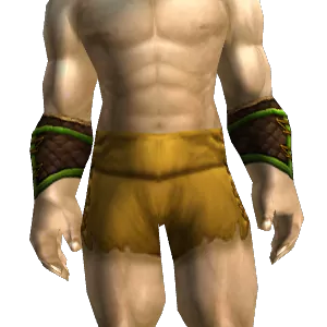 Archer's Bracers