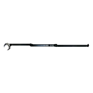 Nightbane Staff