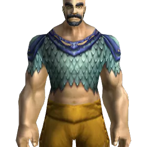 Defender Tunic