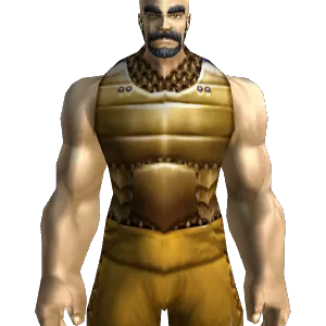 Brigandine Vest