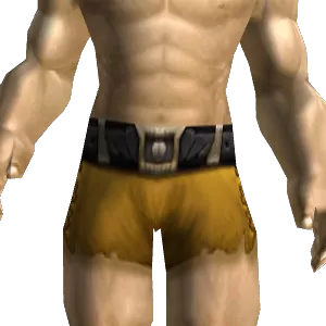 Guardian Belt