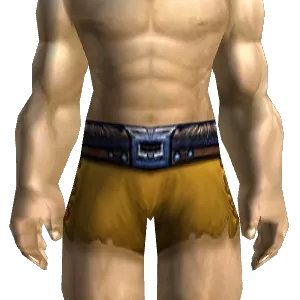 Deftkin Belt