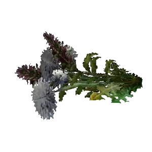 Simple Wildflowers