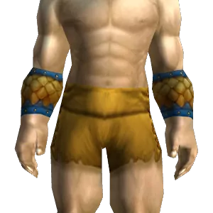Golden Scale Bracers