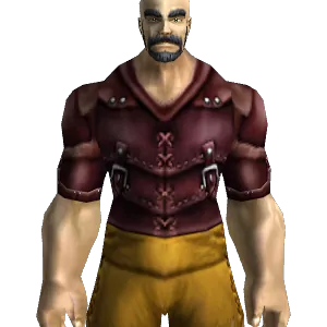 Cured Leather Armor
