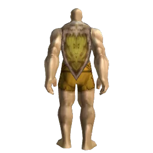 Battered Cloak