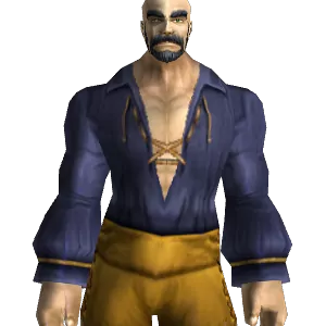 Black Swashbuckler's Shirt