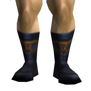 Snow Boots
