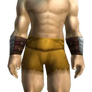 Champion's Bracers