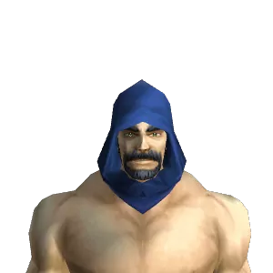 Azure Silk Hood