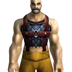 Battle Chain Tunic