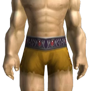 Shifter's Belt