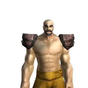 Enforcer Pauldrons