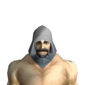 Bear Fur Cowl