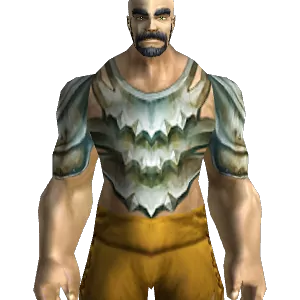 Stone Guard's Chain Armor