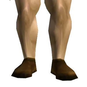 Acolyte's Shoes