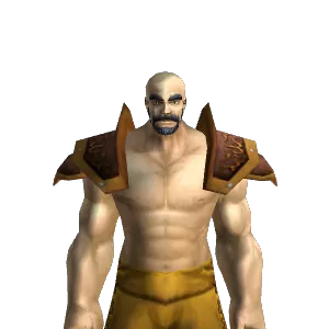 Runic Leather Shoulders