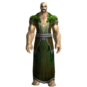 Novice's Robe