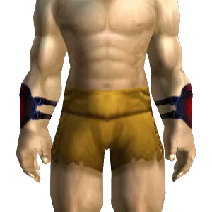 Hero's Bracers