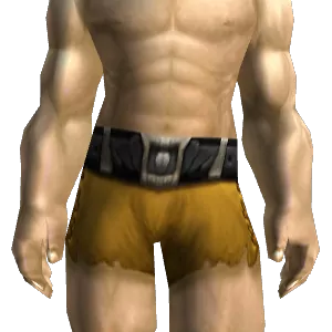 Grappler's Belt