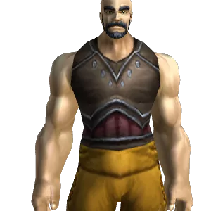 Hardened Leather Tunic