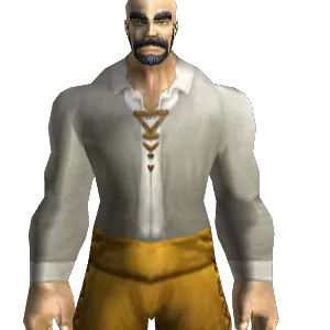 White Linen Shirt