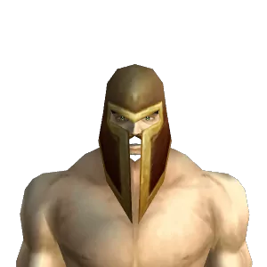 Protector Helm