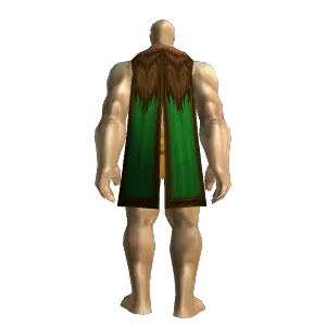 Councillor's Cloak