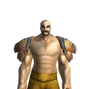 Lord's Pauldrons