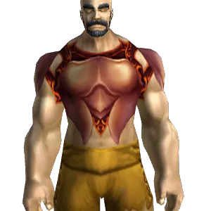 Commander's Armor