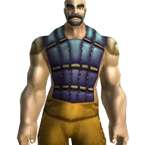 Stormcloth Vest