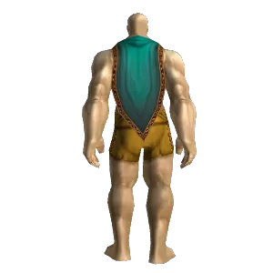 Linked Chain Cloak
