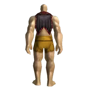 Black Whelp Cloak